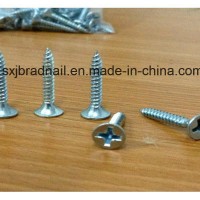 Made in China Manufacturers Suppliers Exporter Hot Selling Drywall Screw