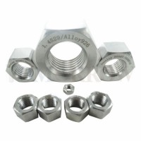 Hot Selling Exotic Alloy Incoloy 800ht Hex Nut