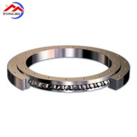 Lubrication/ Wholesale/ Rotary Table Bearing/ with High Quality
