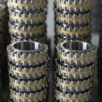 Separable Bearing Manufacture (NN3008)