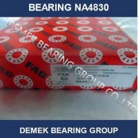 Needle Roller Bearing Na4830 in Stock