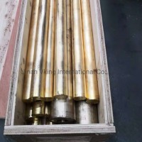 ASTM/ JIS/ ASME/ AISI/ En/ BS Copper Alloy Naval Brass Bar C46400