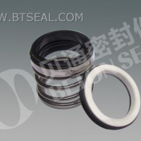Elastomer Bellow Mechanical Seal T21
