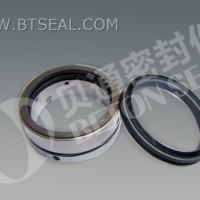 O-Ring Mechanical Seal (B681)