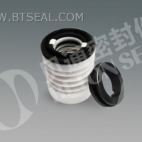 Teflon Bellow Mechanical Seals (BCY) 5