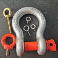 Custom Alloy Steel Lifting Galvanized Screw Pin Anchor Shackles with Teflon Coating