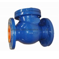 BS DIN Awwa Ductile Iron Flanged End Non Return Swing Check Valve