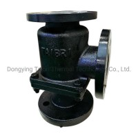 Fully Automatic Thermostatic Control Valve