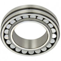 Bc1b 320202A Oversize Single Row Cylindrical Roller Bearings