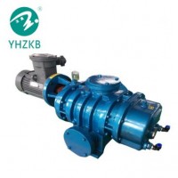 Shanghai Yulong Zjb-1200 Roots Vacuum Pump for Metallurgy