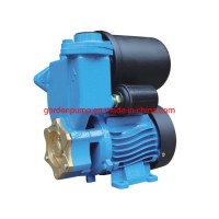 PS139 Bomba Single Stage Self-Priming Engine Driven Water Pump