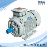 IEC (IE1 IE2 IE3 IE4) Ce CCC Three Phase Induction AC Electric Motor for Fan Pump Blower Compressor