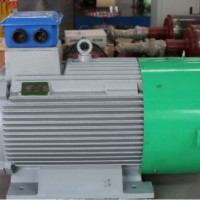 300kw Permanent Magnet Generator Alternator 20rpm 30rpm 50rpm 350rpm Free Energy Low Speed Low Rpm f