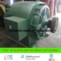 Brushless Generator for Hydro Power Plant 1MW