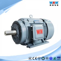 Ye3 Ie3 Ce CCC Certificated AC Induction 3 Phase Electric Motor Synchronous Asynchronous for Fan Pum