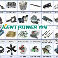 Power Generators Diesel Engines Spare Part with Controller AVR Filter