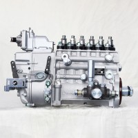 Weichai Ricardo Steyr Diesel Engine Fuel Injector Injection Pump Spare Part