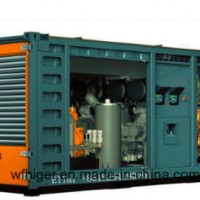 Ce & ISO Standard Green Power Water Cooling 300kw Biogas Generator