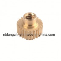 High Precision Transmission Copper Branze Worm Gear Wheel Nuts