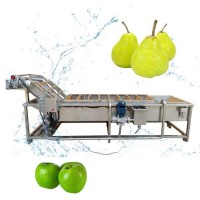 Different Capacities Bubble Washing Machine for Fruits and Vegetables