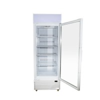 Showcase Ice Cream Display Upright Commercial Glass Door Freezer Supermarket Display Freezer Upright