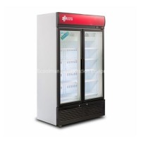 Energy Efficient Vertical Display Freezer Upright Commercial Glass Door Freezer
