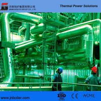 ASME/Ce/ISO 75tph Sub-High Pressure Water-Cooling Vibrating Grate Biomass Boiler for Power Plant/ In