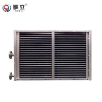 China Industrial Stainless Steel Finned Tube Radiator