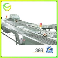 Full Automatic Multi-Functional Sorting and Packaging Line