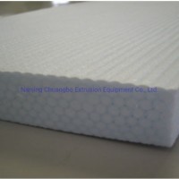Supericritical CO2 Foam Extruder Pet Foaming Plate
