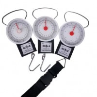Hot Sell Promotional Analog Hanging Scale