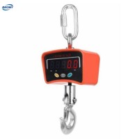 Economical Weighing Scale for Overhead Crane Hanging Portable Scale 500kg