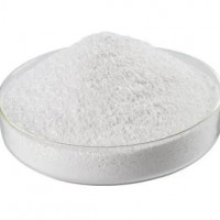 Raw Material of Paracetamolca Powder 103-90-2 Wholesale Price