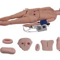 Xy-2300 Full-Functional Nursing Manikin for Teaching Model (Blood Pressure Simulator)