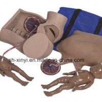 Delivery Simulator  Xy-5A Childbirth Skill Training Simulator