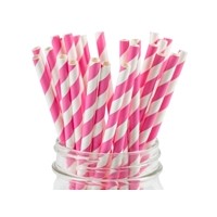 Biodegradable Drinking Stripe Paper Straws