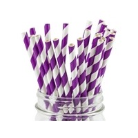 Biodegradable Drinking Purple Paper Straws with A Quality