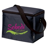 6-Pack Insulated Lunch Bags