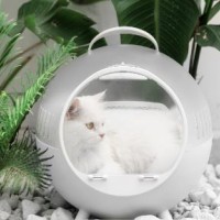 CATS' MOVING CASTLE WHITE CARRIER CAT BED
