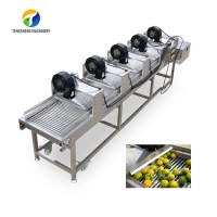 Stainless Steel Citrus Orange Lemon Fruit Parallel Drying Machine Food Processor (TS-PX35)