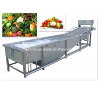High Efficiency High Quality Stainless Steel Automatic Vegetable Washer Processing and Fruit Washing