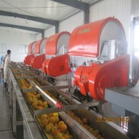 Industrial Orange Juice Extractor with Stainless Steel Material and Crushing Function
