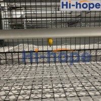 Hi-Hope Auto Poultry Farm Layer Cage Chicken Feeding Egg Collection Drinking System