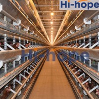 H Type Chicken Poultry Farm House Equipment Battery Cage Layer System