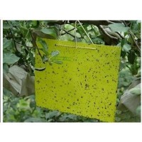Thrips Whitefly Glue Paper  Thrips Whitefly Glue Traps  Stick Insect Yellow Blue Board/Sticky Paper