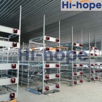Hi-Hope Automatic H Type Layer Egg Chicken Cage House System