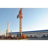 China Building Equipment Hydraulic Tower Crane Hammer Head Tower Crane Hammered Tower Crane Qtz315 (