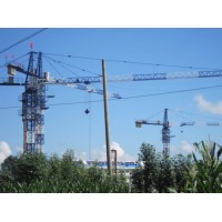 Self-Erecting Top-Slewing Hammer Head Construction Tower Crane Model: Qtz125 (TC6515) -Max. Load: 10