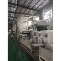 PSF Production Line for Making Fiber with Pet Bottle Flakes