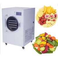 Small Freeze Drying Machine Lyophilizer Vacuum Home Food Freeze Dryer